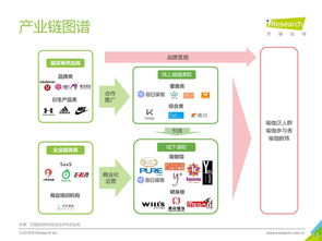 洞察数字脉搏 199it互联网数据资讯中心的崛起与服务演进